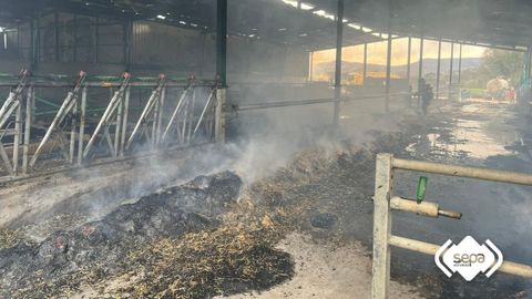 El incendio en una ganader�a de Otur provoca da�os a varias vacas estabuladas