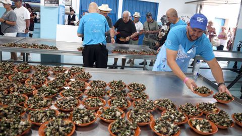 Festa do Percebe en Aguio 2025