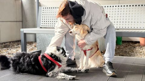 �Can Da Man�, el nuevo programa del CHUO que permite la visita a los pacientes de sus perros