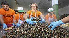 B�scate en las im�genes del Percebe de Corme