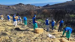 El programa de voluntariado de Abanca volvi a Manzaneda. 