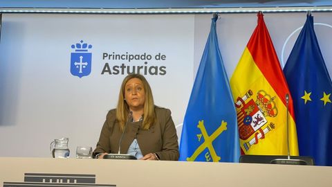La consejera de Derechos Sociales y Bienestar, Nerea Monroy, durante la rueda de prensa de este martes