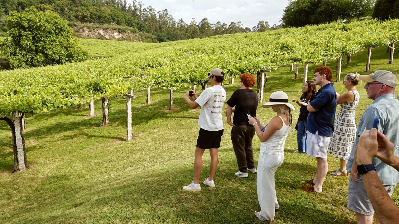 La séptima ruta del vino más visitada de España cuelga el cartel de completo