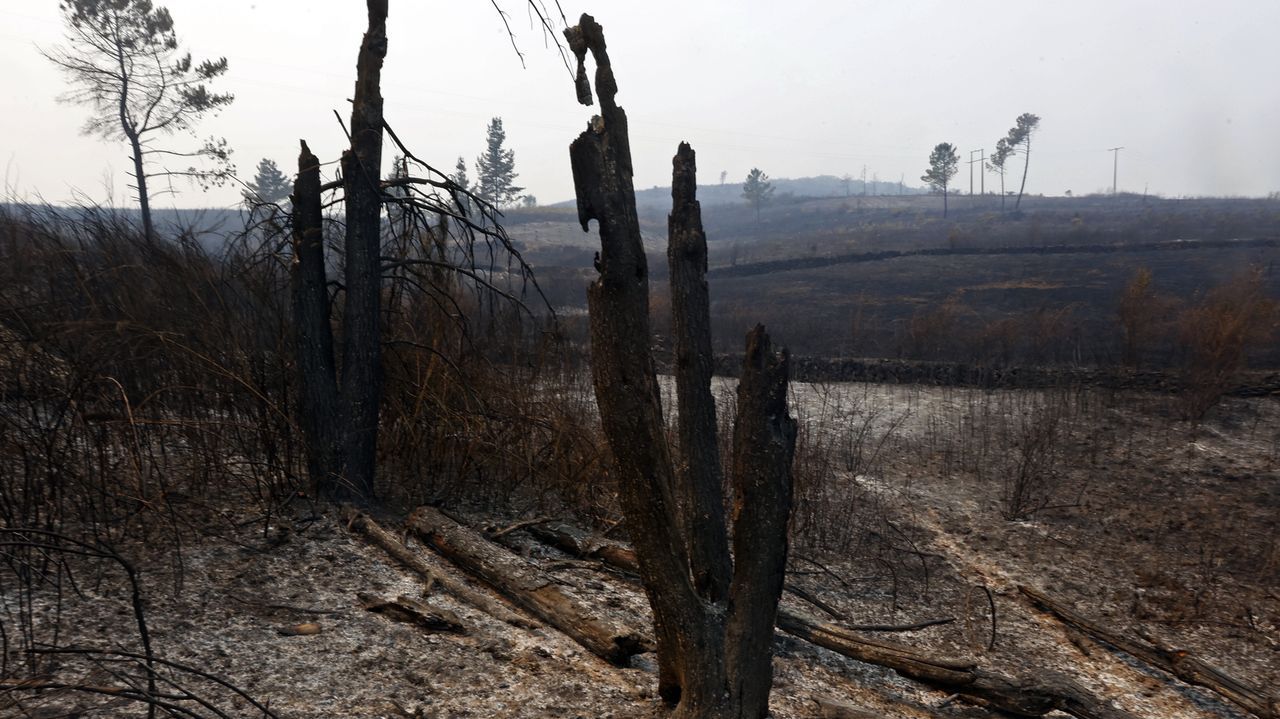 Los tres mayores incendios de la historia de Galicia castigan Ourense simultáneamente
