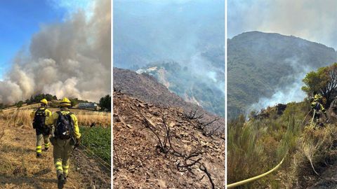 Efectivos del BRIF de Tineo en el operativo