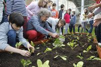Los cerca de 350 alumnos del CEIP Ram�n Cabanillas participaron en la creaci�n del huerto. 