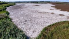 La sequ�a en el lago Tisza (Hungr�a)