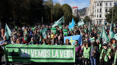 Manifestaci�n en defensa de la preservaci�n de la f�brica de La Vega, en Oviedo