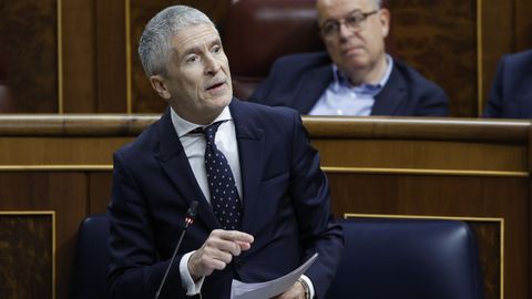 Fernando Grande-Marlaska en la sesi�n de control de este mi�rcoles.