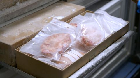 Cerebros que se conservan en ultra congeladores. 