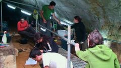 Traballos na campa�a do 2011 na Cova Eir�s