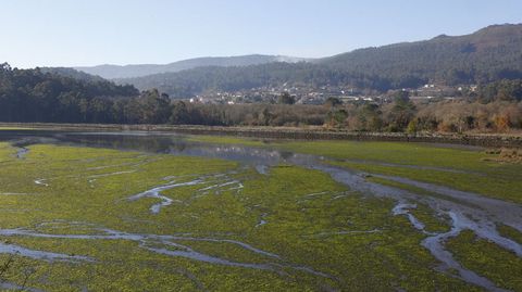 Una de las balsas que definan las antiguas salinas, en marea baja, en Paredes