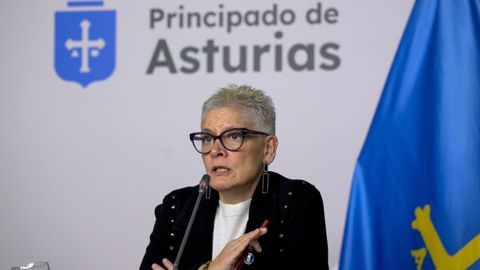 La consejera de Salud, Concepci�n Saavedra, informa en rueda de prensa sobre los asuntos de su competencia aprobados en la reuni�n del Consejo de Gobierno, esta ma�ana en Oviedo.