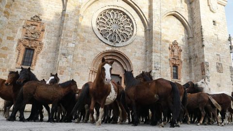 La bajada de los caballos es espectacular