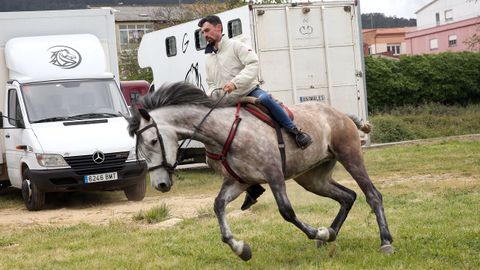 FERIA CABALLAR Y MAQUINARIA AGRICOLA EN SAN MARCOS