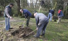 La plantaci�n de Vaipolor�o se llev� a cabo ayer por la ma�ana en la parroquia de Tomeza. 