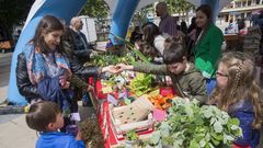 Mercado ecol�gico de productos cosechados por los peque�os del Horto Infantil de Carballo