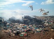 La clausura del basurero concluy� en el 2005