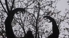 Dumbr�a empieza a desvelar su monstruoso misterio