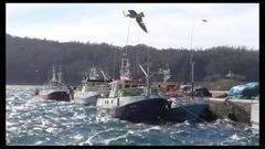 Imagen de archivo de barcos atracados en el puerto de Cedeira, base del pesquero que se hundi� y del que lo rescat�, y adonde han sido trasladados los dos n�ufragos