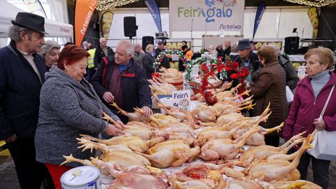 La Feira do Galo celebra este 2025 su 34.� edici�n con limitaciones por la gripe aviar