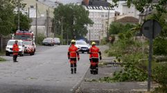 Los bomberos, en la carretera Monforte-A Vide  despu�s de cortar con una motosierra el tronco del �rbol derribado por el viento sobre la calzada