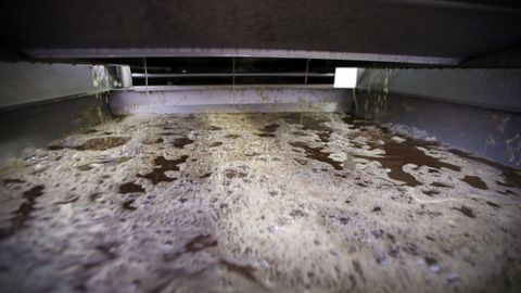 Durante el proceso de fermentaci&oacute;n del vino se libera anh&iacute;drido carb&oacute;nico