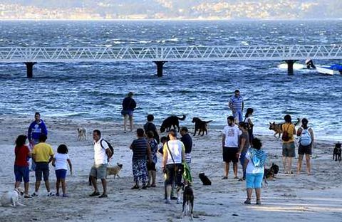 Los propietarios de los canes en la playa de Toralla el verano pasado, una vez conseguido el permiso para llevar a los animales. 