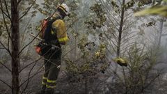 Un bombero forestal en un incendio en la Sierra do Care�n, en Palas de Rei, en una imagen de archivo