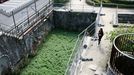 Desprendimientos en un lateral del estanque de la Gruta en el 2017 aceleraron el proyecto de rehabilitación del parque