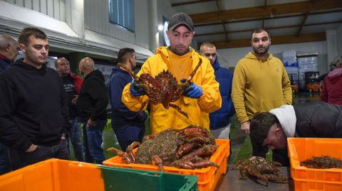 La centolla es uno de los productos de alta calidad de la r�a de Pontevedra y se subasta en Bueu, en la foto, y Portonovo