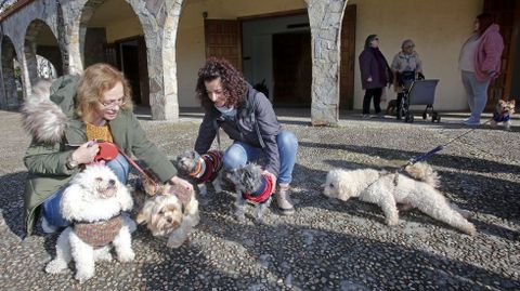 Bendici�n de mascotas en la iglesia de Campolongo