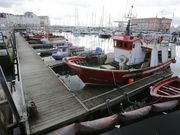 Barcos de bajura, amarrados ayer en el pantal�n de La Marina. 