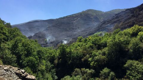 Las laderas quemadas se suceden en la margen derecha del valle 