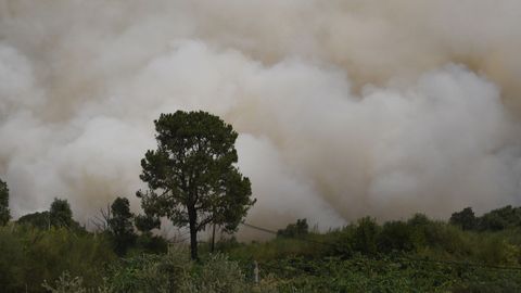 Incendio en Quiroga