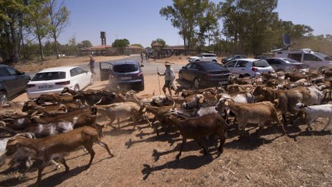 Expectaci�n a las puertas de la c�rcel de Alcal� de Guada�ra por la probable salida de Pantoja