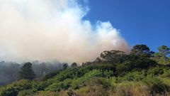 Incendio forestal en Louro
