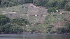 Imagen de archivo de vi�edos en el embalse de Belesar