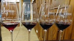 Cata de vinos de O Ribeiro