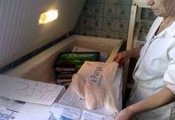 Las importaciones de panga cayeron un 30 % en Espa�a en el a�o 2011.