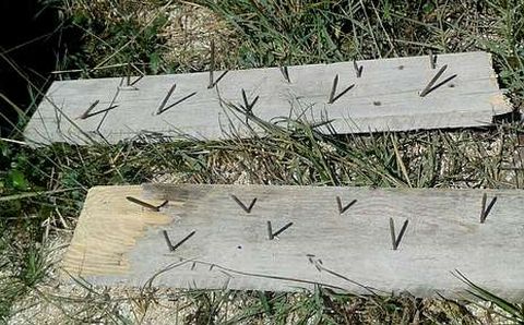 Algunas de las tablas con puntas encontradas en los arenales.