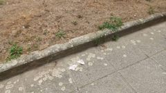 Bolsas con posible raticida que aparecieron en el paseo mar�timo de Covas, cerca de la playa de Seiramar, la �nica de Viveiro de uso compartido entre personas y mascotas