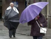 Las inundaciones se produjeron porque las alcantarillas se llenaron de hojas y ramas, cuya ca�da se aceler� por los fuertes vientos de las �ltimas jornadas. 