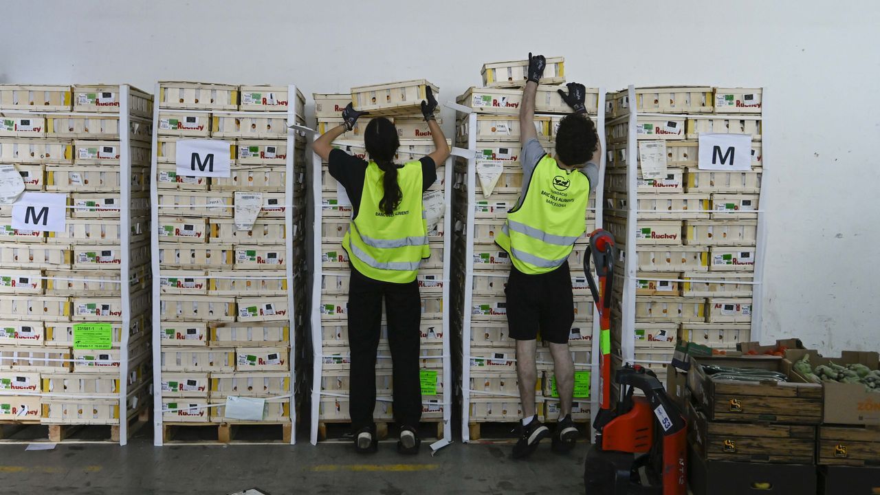 La campaña «Ningún Hogar sin Alimentos» recauda más de 1,6 millones de euros