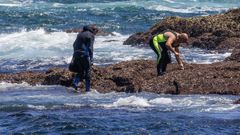 Los percebeiros de Muxa abren en verano A Barca, que guardaban para Navidad