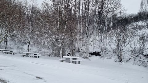 Carretera de Chandrexa a Trives