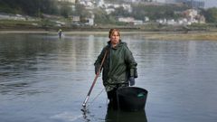 Marisco y relevo generacional en A Coru�a, los retos de una r�a que vuelve a empezar