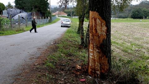 Lugar del siniestro donde perdieron la vida dos jvenes.