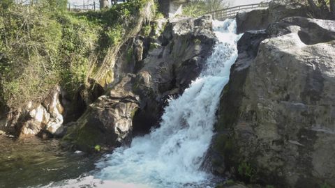 La Fervenda da Freixa est� en Reboreda