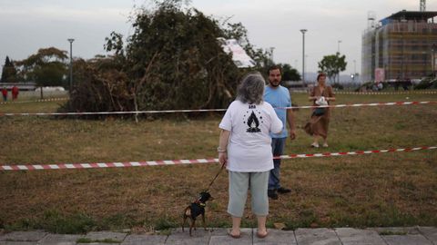 Celebraci�n del San Xo�n en Montir�n.